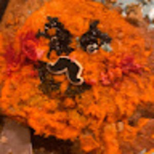 Meet your Posher, Carter